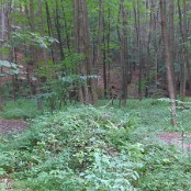 FM0   FC000010111:zzzzzz01015a 078043874441663838014c0 bac2fd15942b9649713b3d8a5b3f11d27c73b76 ff298d47f6 e1166b248310b f5616b911413101b1311d14531c74126159e1d8e12f1b032562138205e2d4314129733b4f14a34924c911534412634d15c4119561414a3f284f43